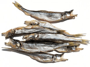 Креветка Черноморская (сушеная) (25гр): Корюшка (мелкая) вяленая (Камчатка)